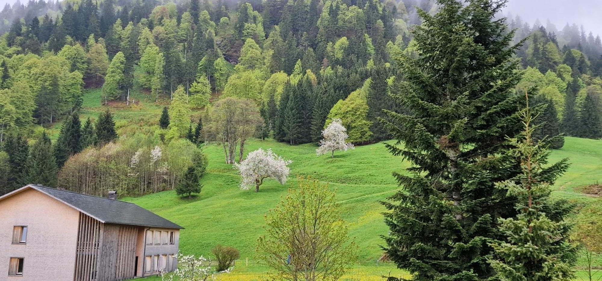 Haus Luise Hotel Bad Hindelang Buitenkant foto